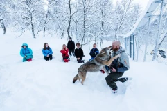 Северное сияние и жизнь викингов